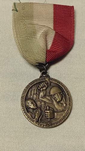 Italian Medal - Can't identify