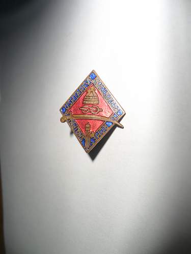 Italian Albanian Campaign Fascist Party Membership Badge ???