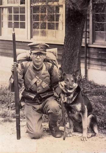 Japanese Army Dogs