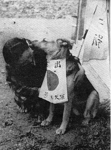 Japanese Army Dogs