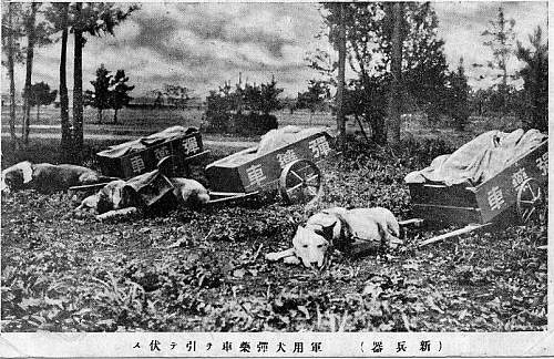 Japanese Army Dogs