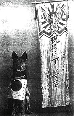 Japanese Army Dogs