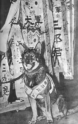 Japanese Army Dogs