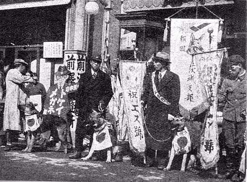 Japanese Army Dogs