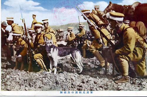 Japanese Army Dogs