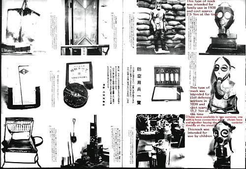 The Evolution of the Japanese Army Gas Mask (1918-1945)