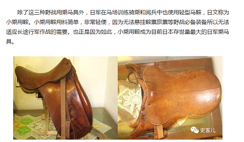 Officer Saddle Question