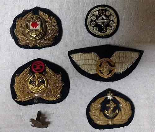 Some Unidentified Insignia