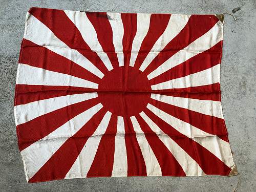 Unique patterned silk rayed flag