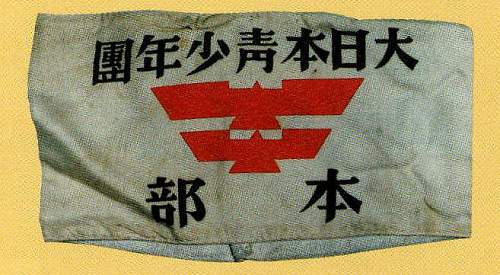 Opinions on an army Rising Sun flag