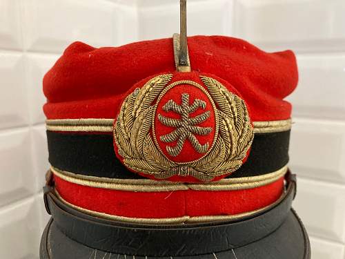 Japanese parade cap