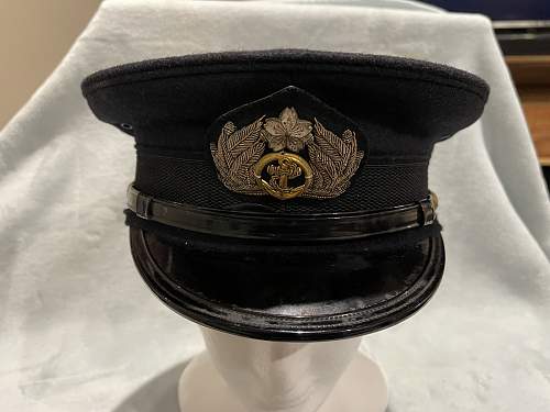 Assistance with Japanese Naval Visor