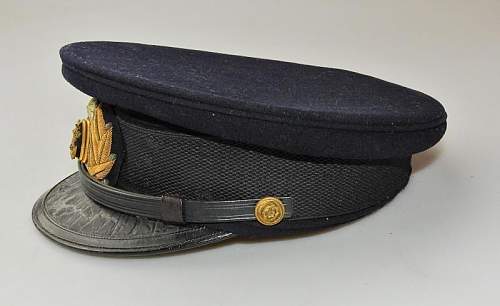 Assistance with Japanese Naval Visor