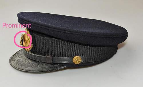 Assistance with Japanese Naval Visor