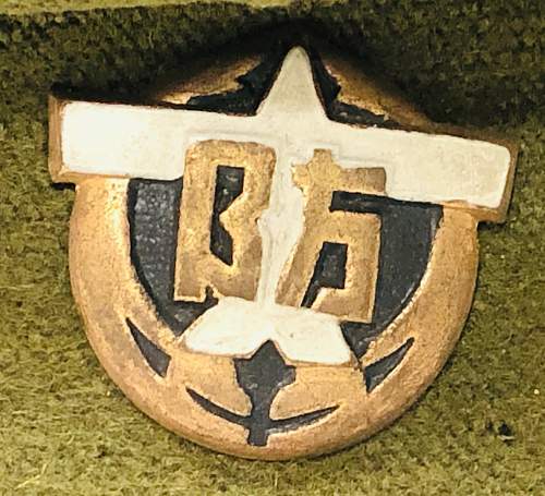 Japanese Air Defense badge ?