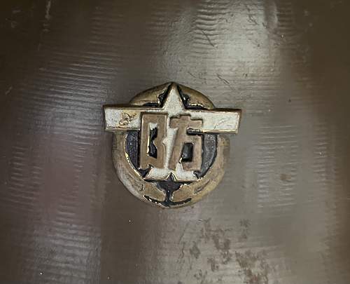 Japanese Air Defense badge ?