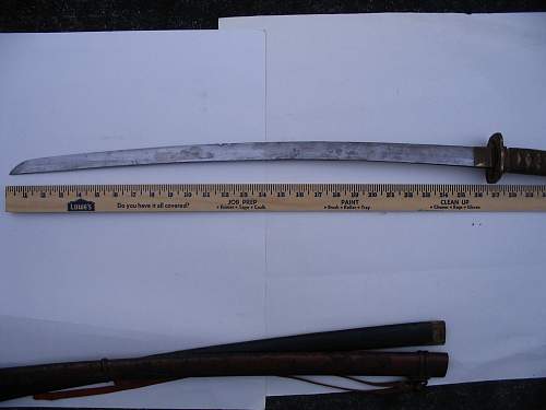 Can anyone tell me about this Japanese sword ?