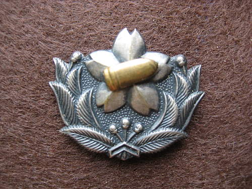 Japanese Cap badge?