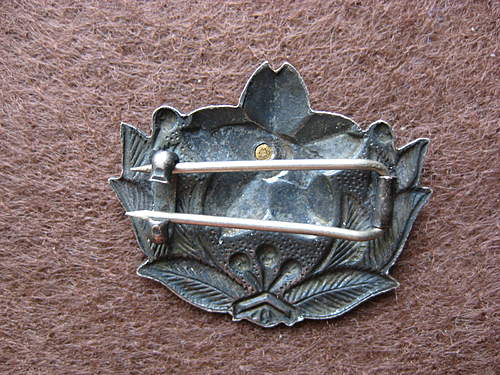 Japanese Cap badge?