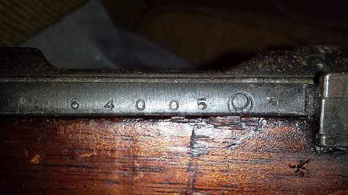 Type 99 Arisaka Rifle