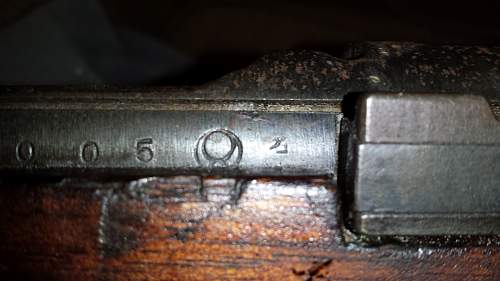 Type 99 Arisaka Rifle