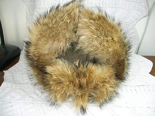 Odd Japanese Fur Hat