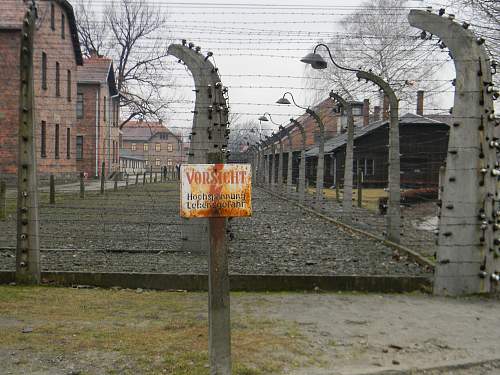 Auschwitz electrical fence signs?