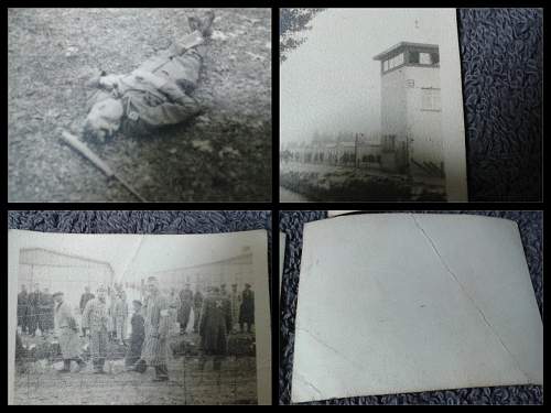 Concentration Camp Photo Lot ID?
