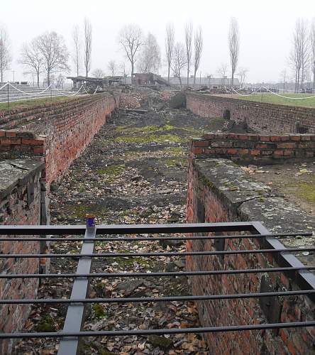 Olère Collection Acquired by Auschwitz Museum