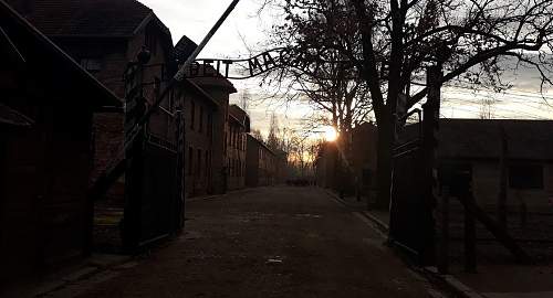 Auschwitz Then And Now