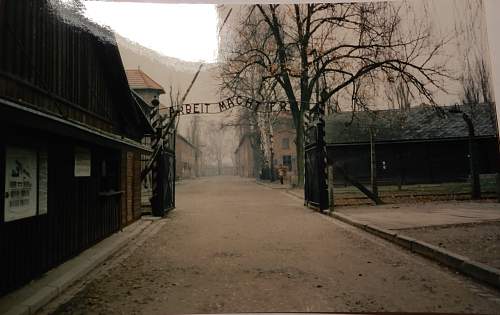 Auschwitz Then And Now