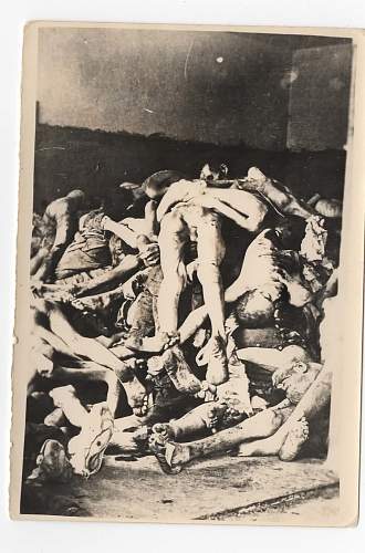 Dachau Crematorium Post Liberation Images - Graphic