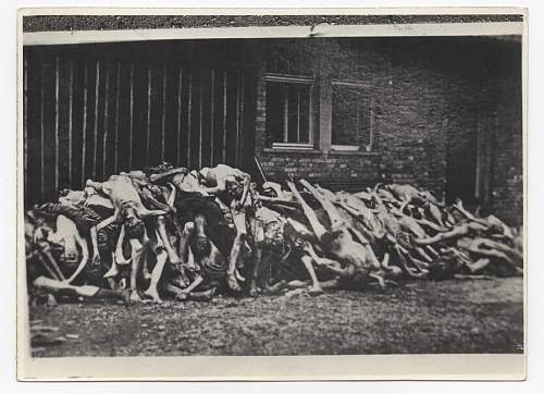 Dachau Crematorium Post Liberation Images - Graphic