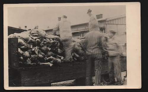 Dachau Crematorium Post Liberation Images - Graphic