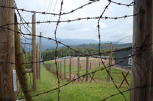 Largest KL in France - Natzweiler-Struthof