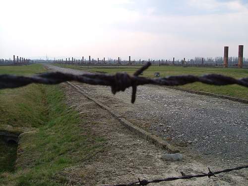 Auschwitz shoe