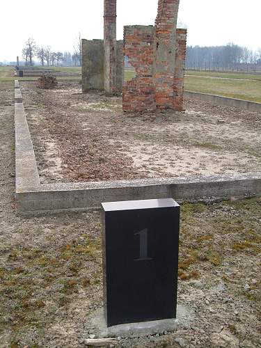 Auschwitz-II, Birkenau: the &quot;Crematoria Waiting Room&quot; and Josef Mengele's office.