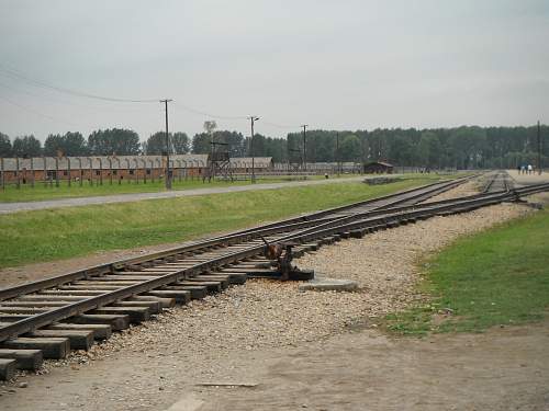 Auschwitz shoe