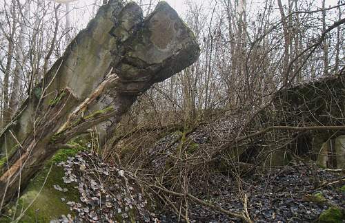 KZ-Außenlager Holleischen (Floßenbürg sub-camp)