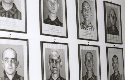 Auschwitz Prisoner Identity Photographs