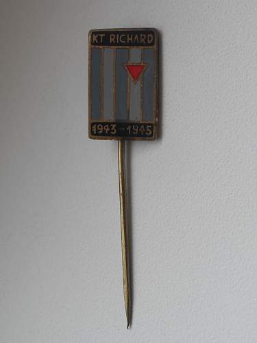 &quot;Richard&quot; underground facility survivor pin