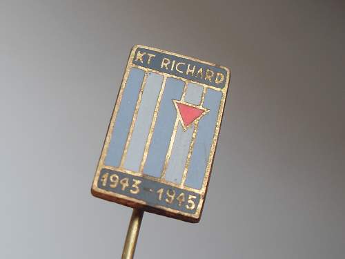 &quot;Richard&quot; underground facility survivor pin