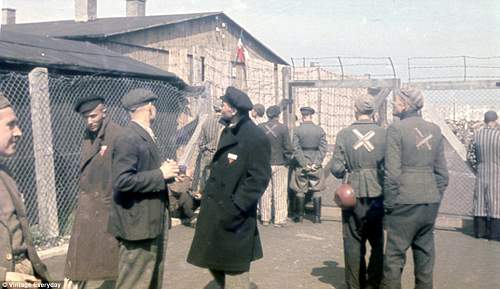 KZ-DACHAU - Colour Liberation Images