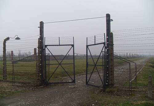Auschwitz-II, Birkenau Barracks returned to site