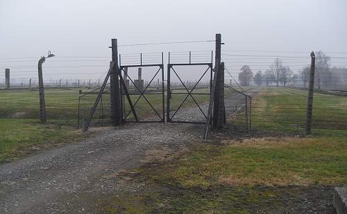 Auschwitz-II, Birkenau Barracks returned to site