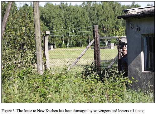 Looting of KL Stutthof by detectorists