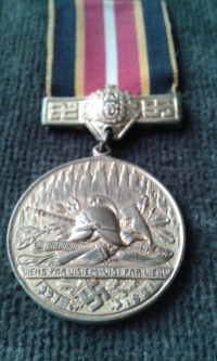 Latvian Fire fighters medal, Latvijas Ugunsdzeseju Savieniba