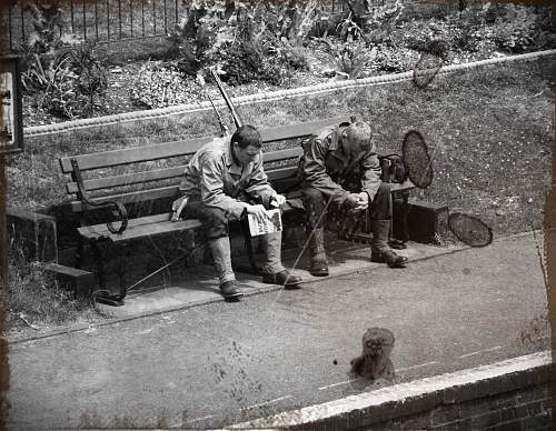 War in the Watercress Line