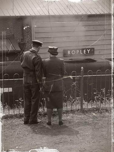 War in the Watercress Line