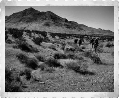 Reenactment USA - Tunisia 1943